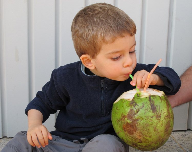 शिशु को ड्राई फ्रूट से एलर्जी है तो क्या वो नारियल खा सकता coconut allergy in children